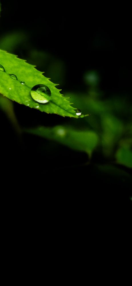 Фотография автора Dhruv Jangid