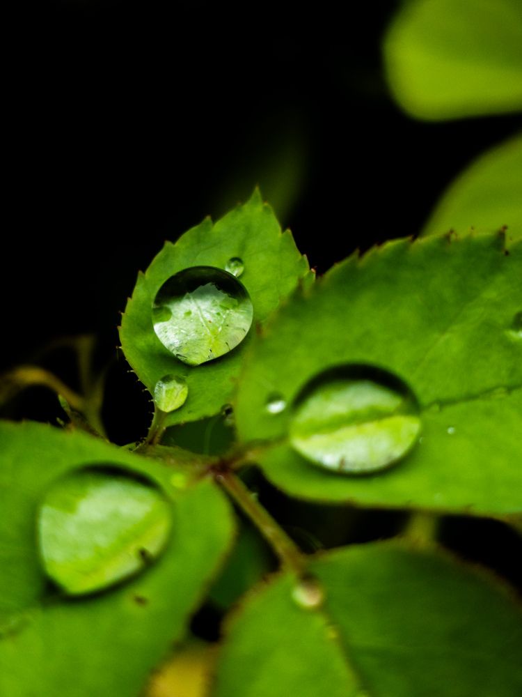 Фотография автора Dhruv Jangid