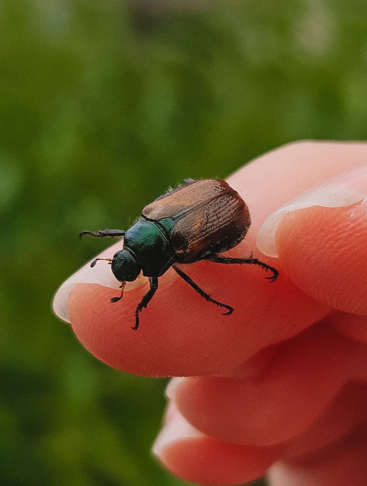 Фотография автора Кристина Альшанская