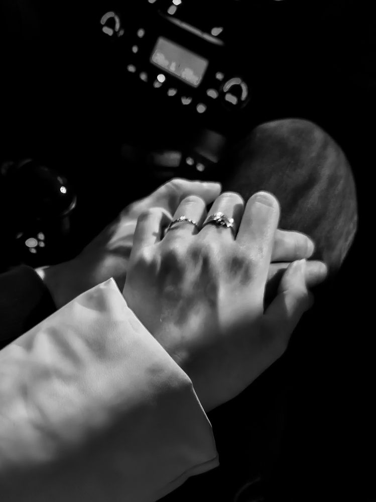 Фотография автора Кристина Альшанская