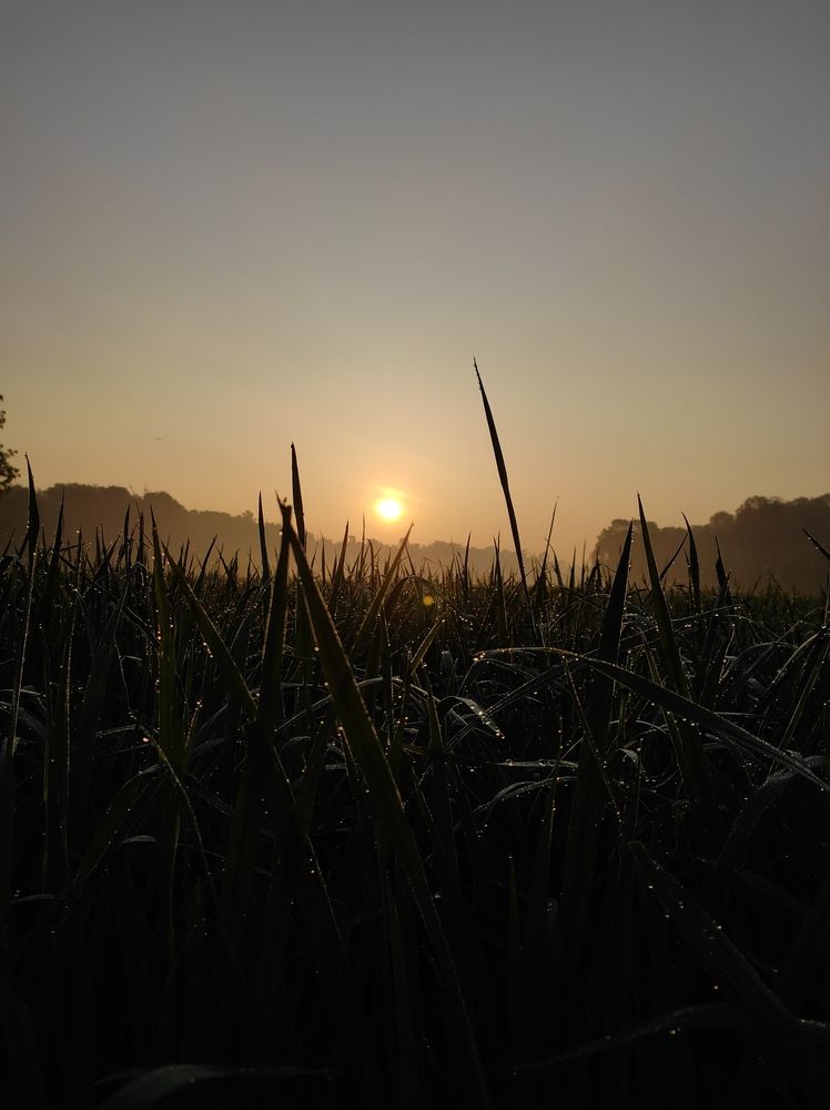 Photograph by George S George