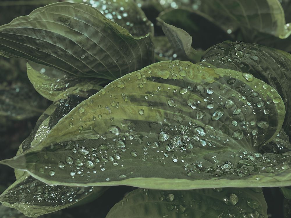 Photograph by Елена Чулюнина