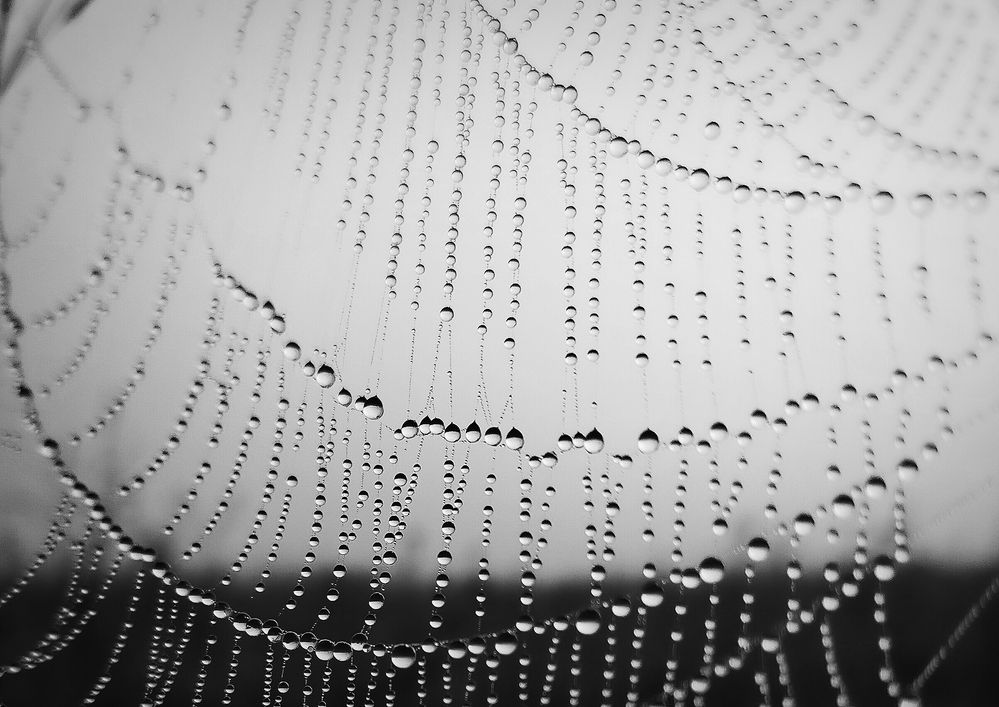 Photograph by Ольга Мартьянова