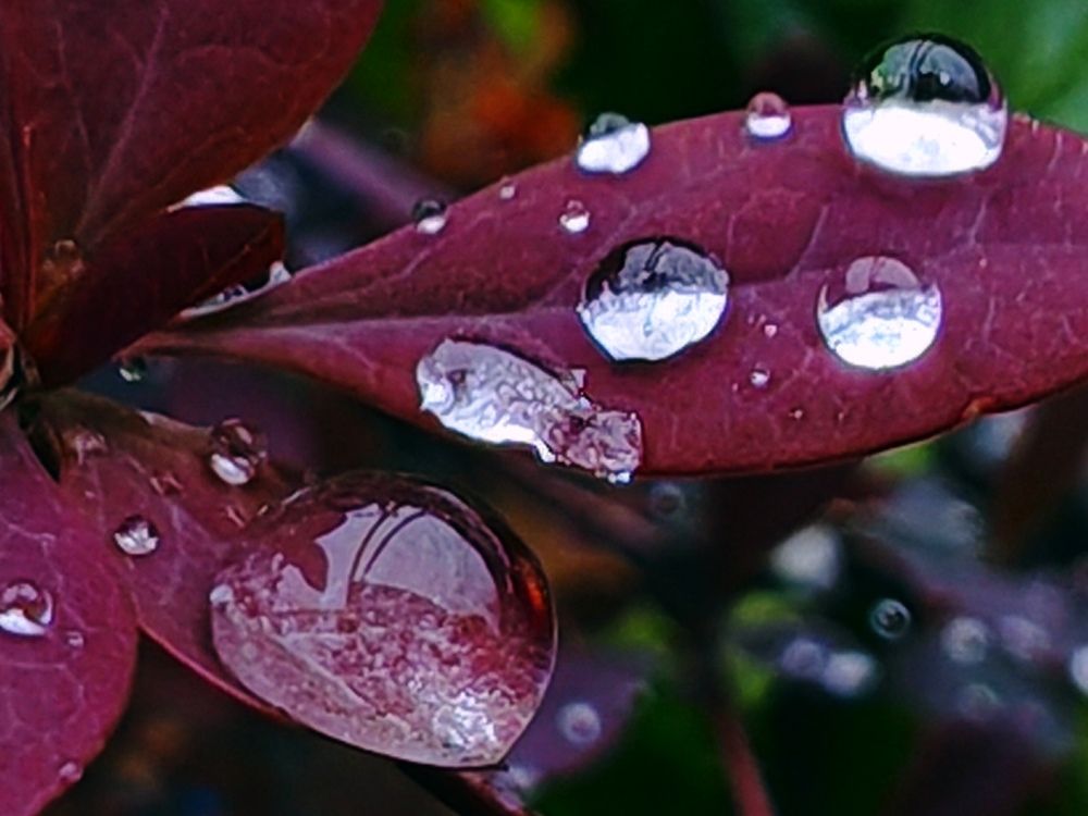 Фотография автора OXANA NAUMOVA