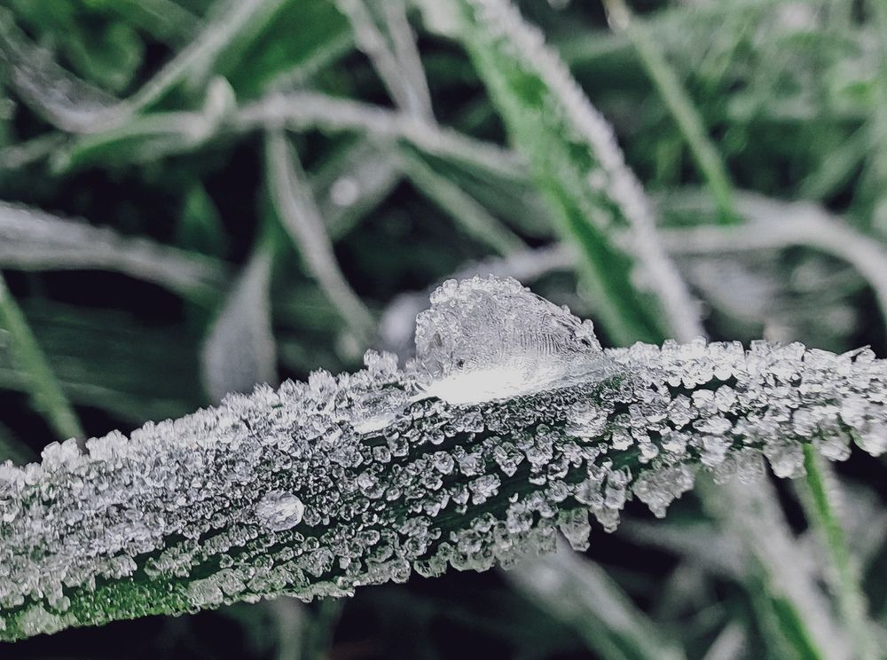 Фотография автора OXANA NAUMOVA