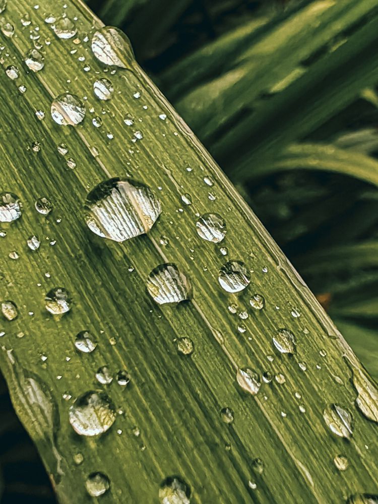 Фотография автора OXANA NAUMOVA