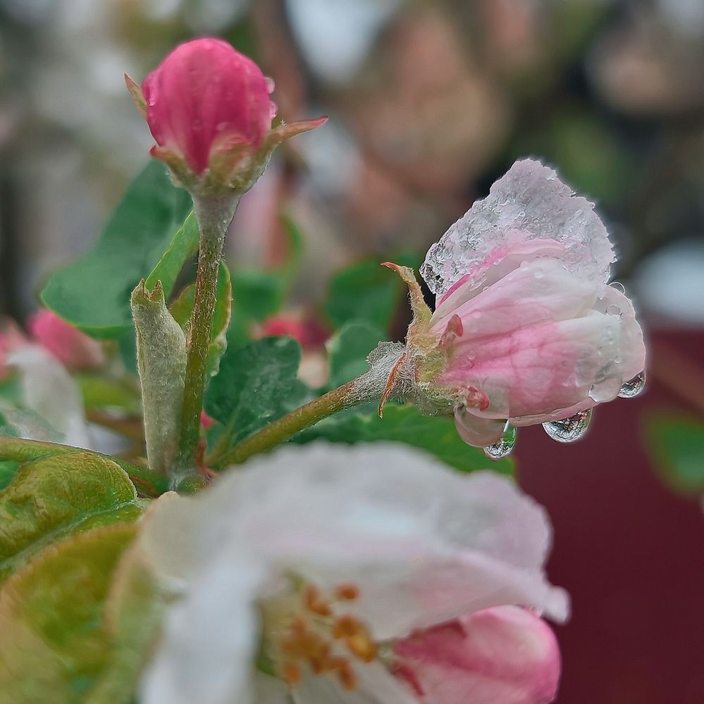 Фотография автора OXANA NAUMOVA