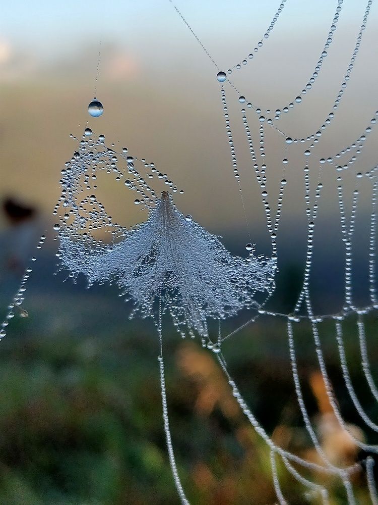 Photograph by Ольга Мартьянова