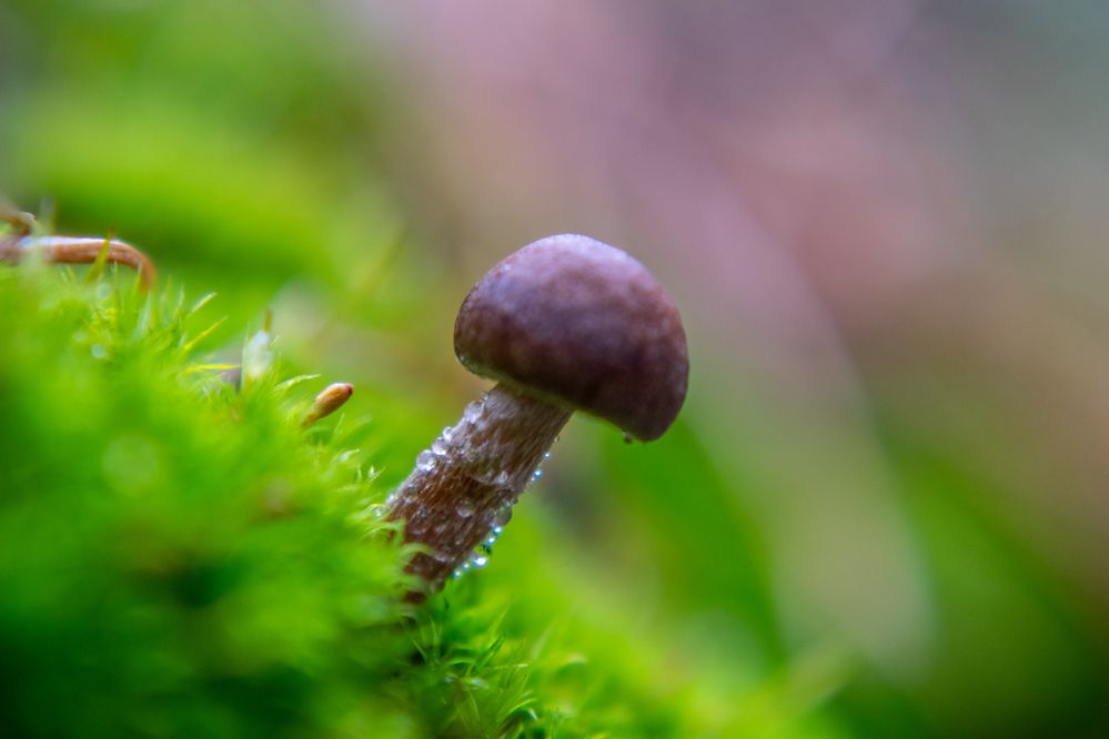 Photograph by Дмитрий Анисимов