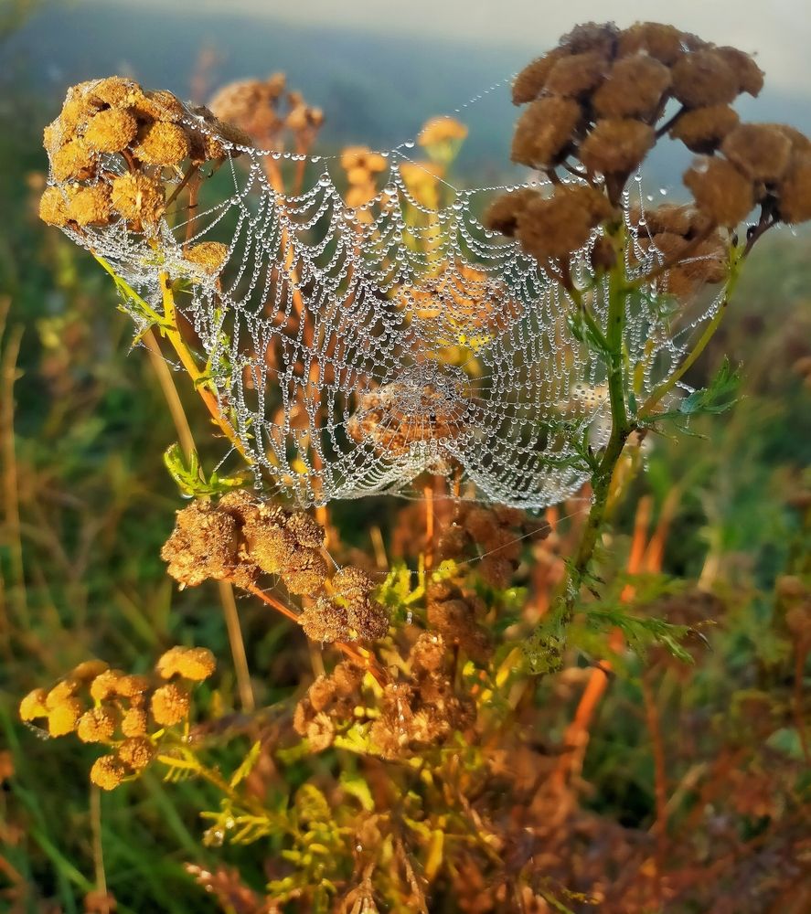 Photograph by Ольга Мартьянова