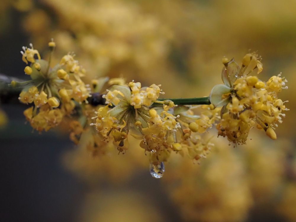 Photograph by Анна Теплицкая