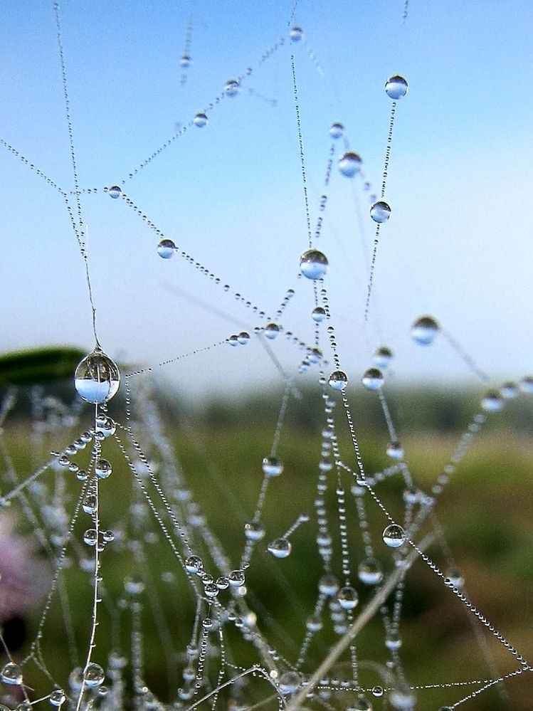 Photograph by виктор ковчин