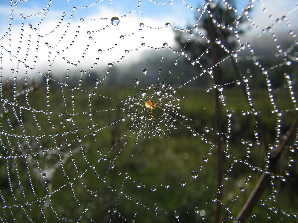 Photograph by виктор ковчин