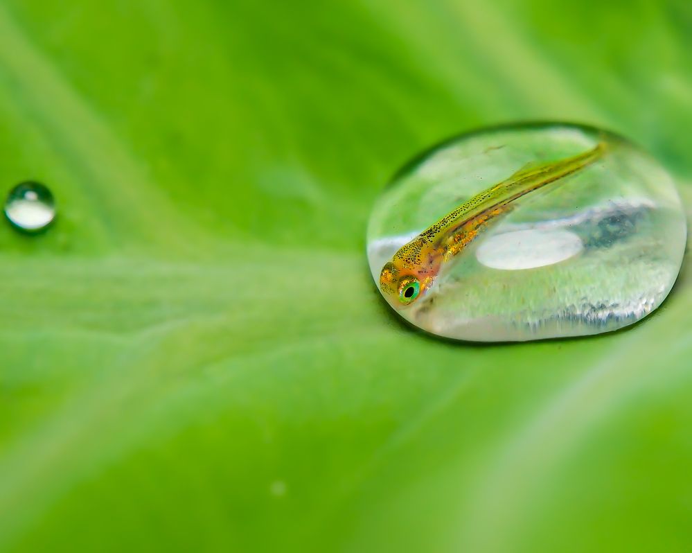 Photograph by Hardeep Solanki