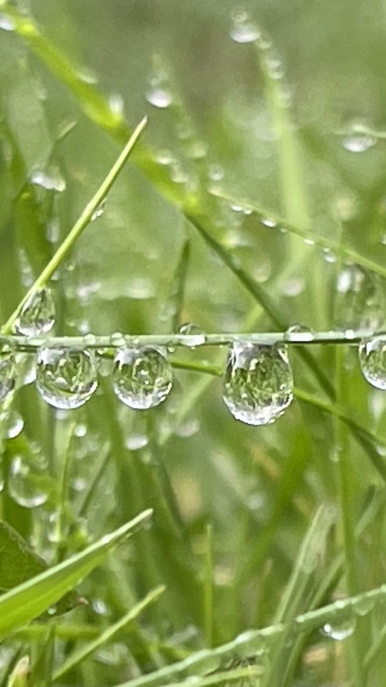 Photograph by Людмила Казак