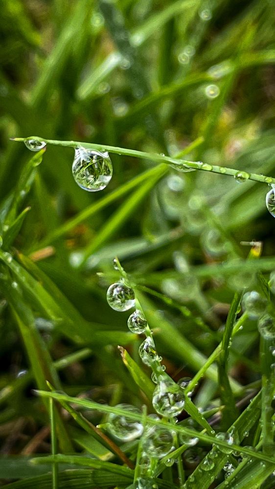 Photograph by Людмила Казак