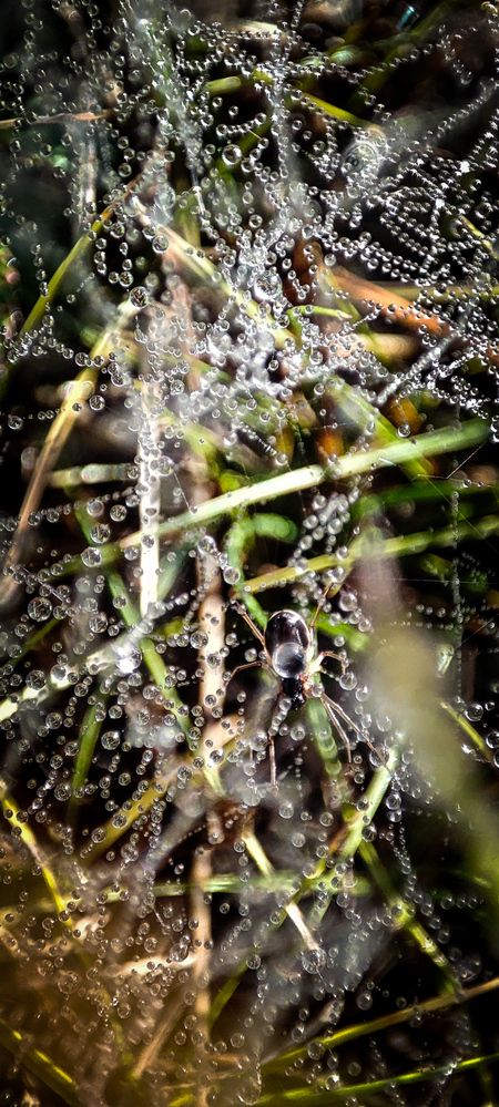 Фотография автора Оркина Ксения