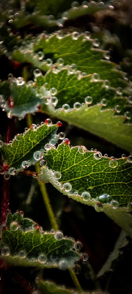 Фотография автора Оркина Ксения