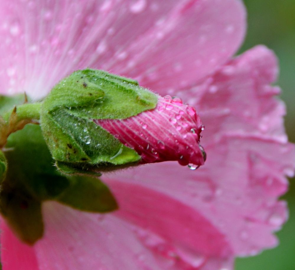 Photograph by Анастасия Смирнова