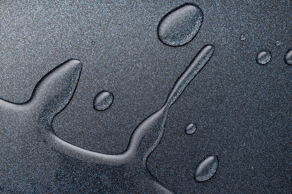 Photograph by Павлович Анатолий