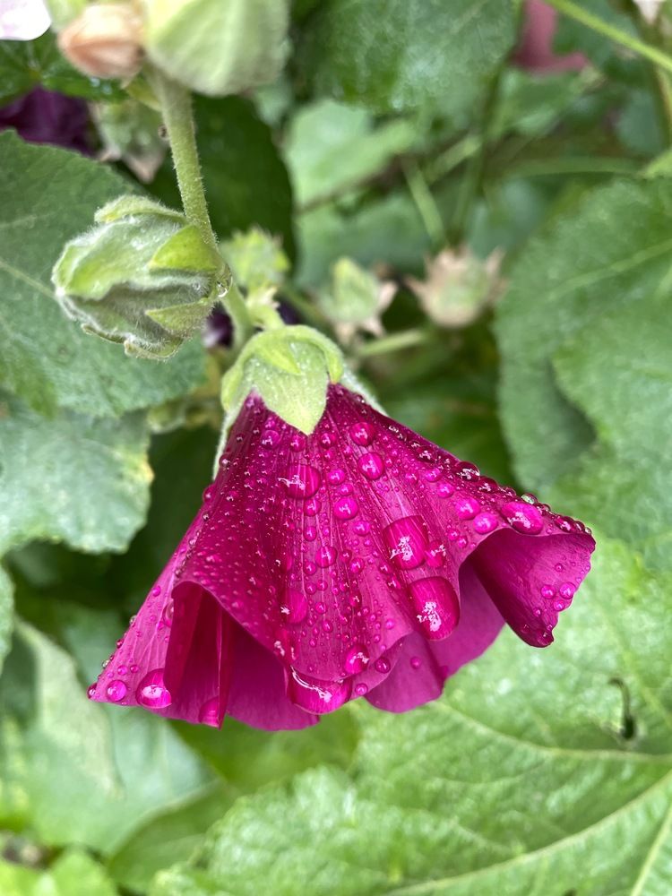 Photograph by Людмила Казак