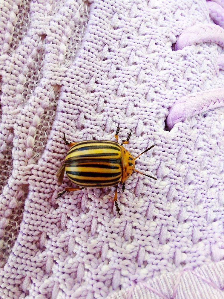 Photograph by Виктория Воронкова