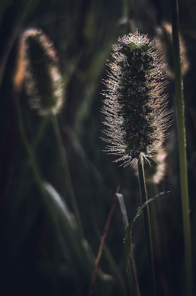Photograph by Инна Невар