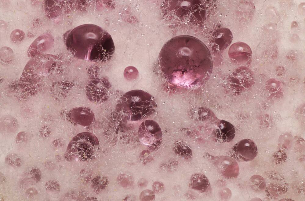 Photograph by Alaa obeid