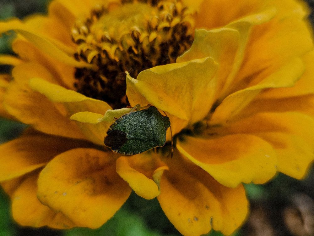 Photograph by Кристина Альшанская