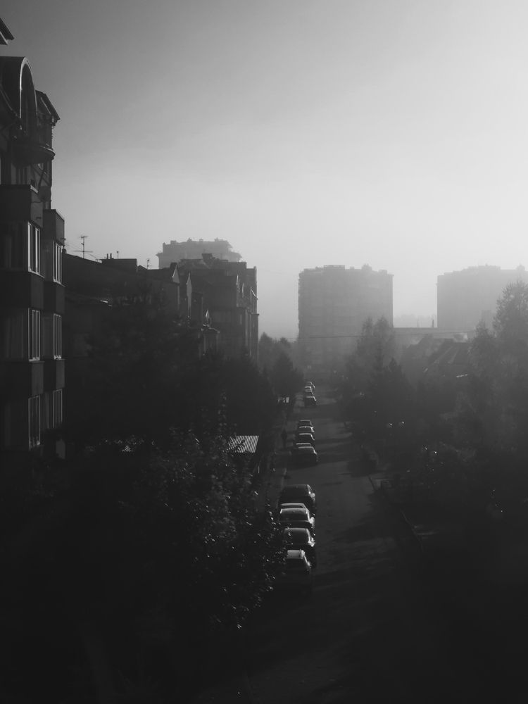 Photograph by Кристина Альшанская