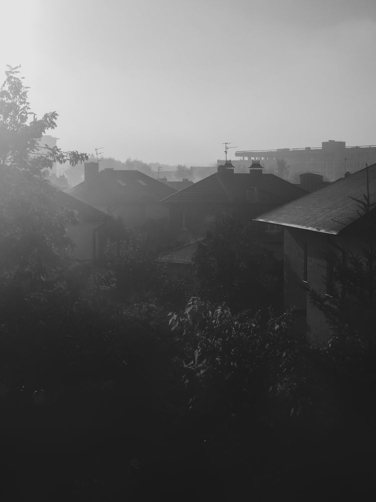 Photograph by Кристина Альшанская