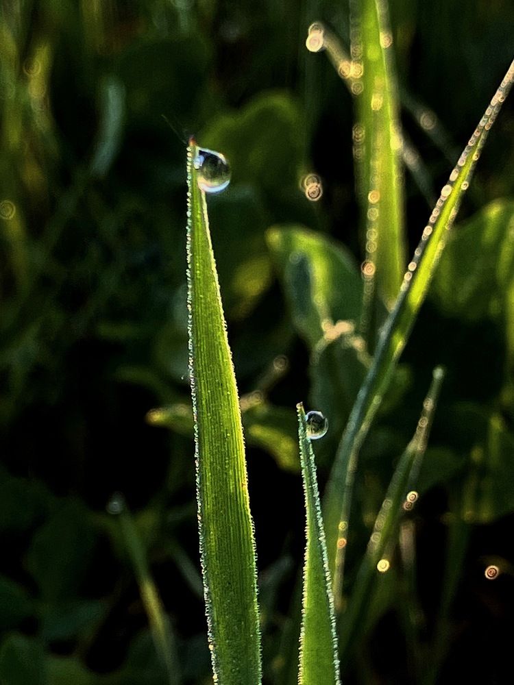 Photograph by Мария Карпычева