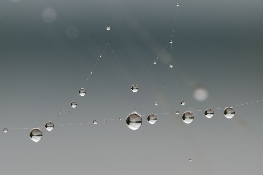 Фотография автора Александр Высоцкий