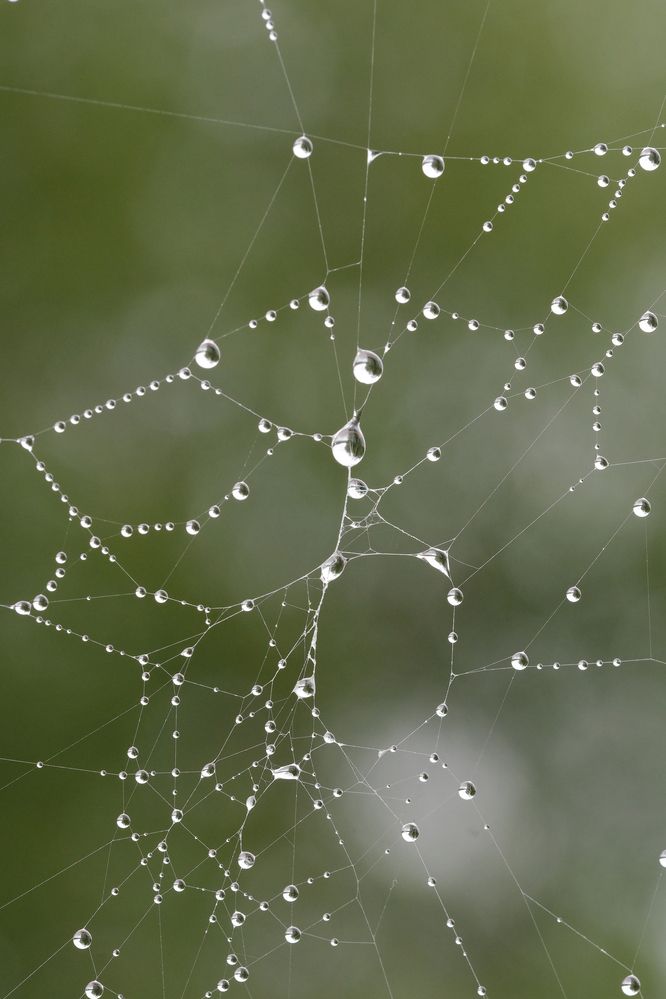 Фотография автора Александр Высоцкий
