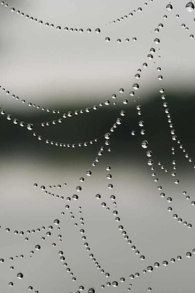 Фотография автора Александр Высоцкий