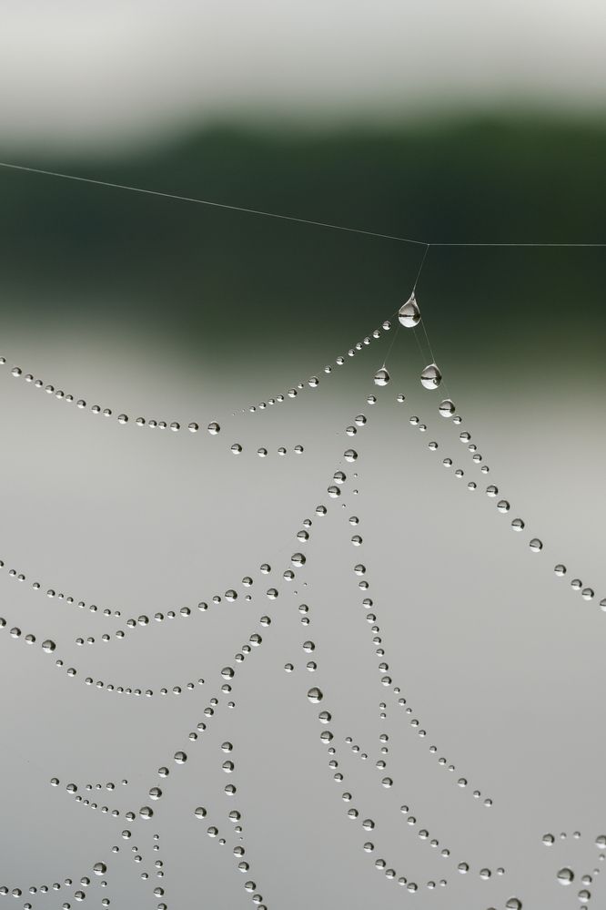 Фотография автора Александр Высоцкий