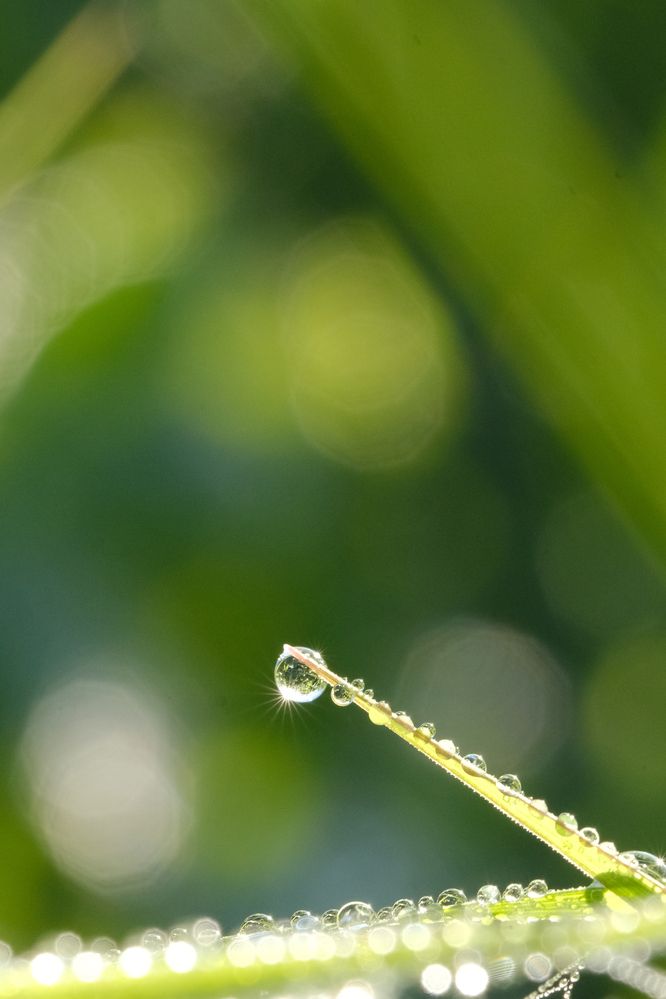 Фотография автора Александр Высоцкий