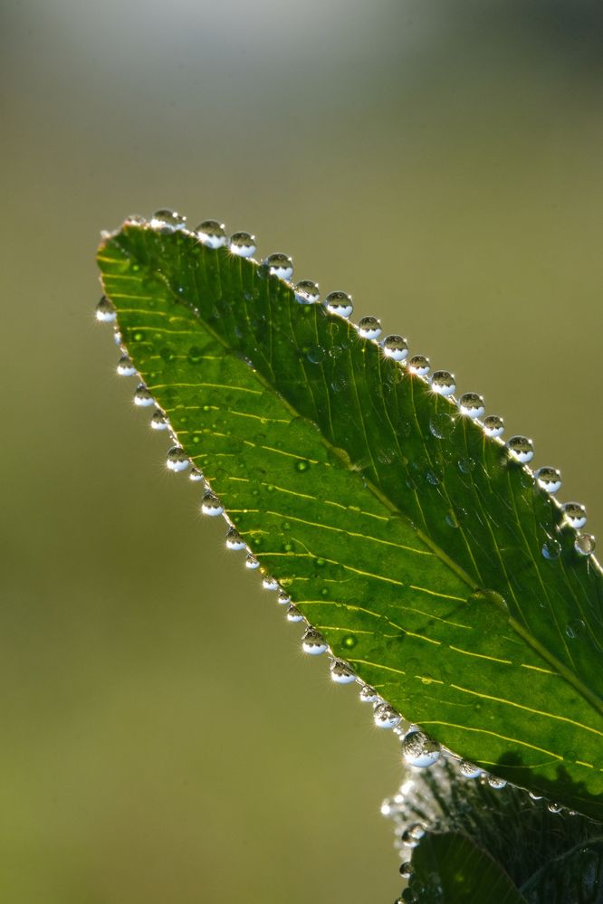 Фотография автора Александр Высоцкий