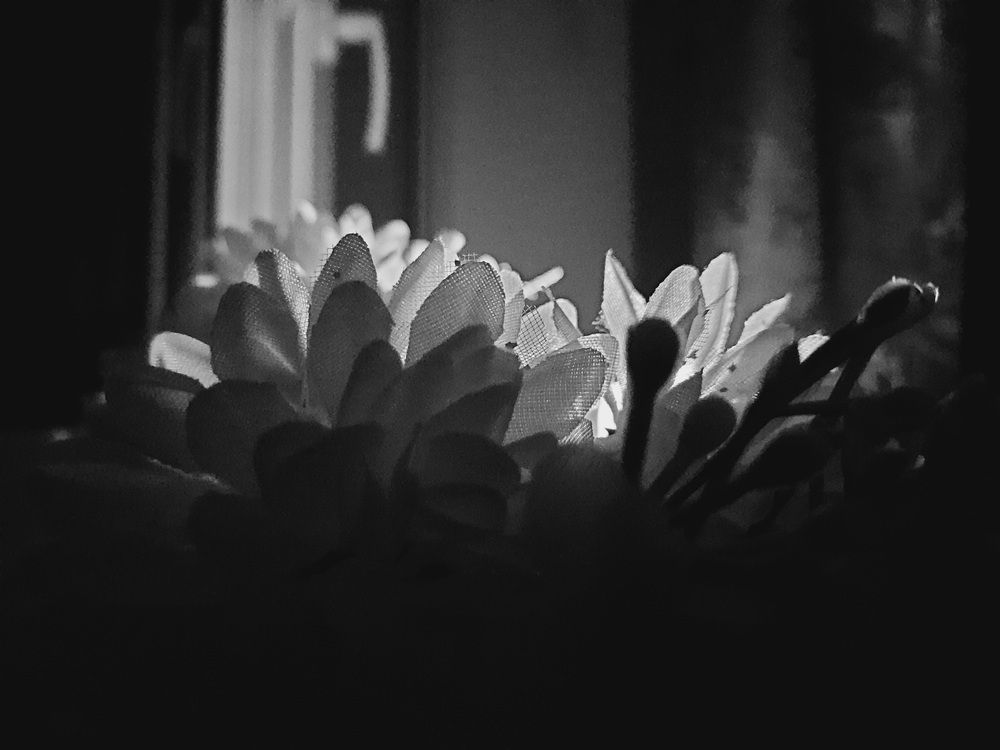 Photograph by Анжелика Гарина