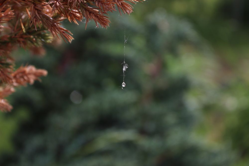 Photograph by Ирина Садовникова