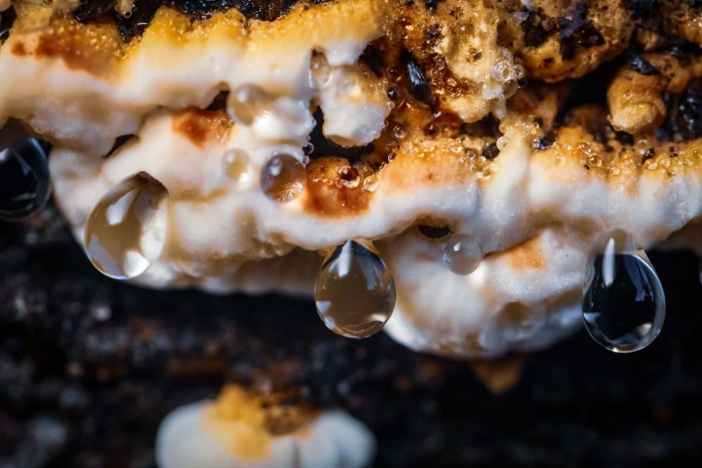 Photograph by Сергей Назаредский