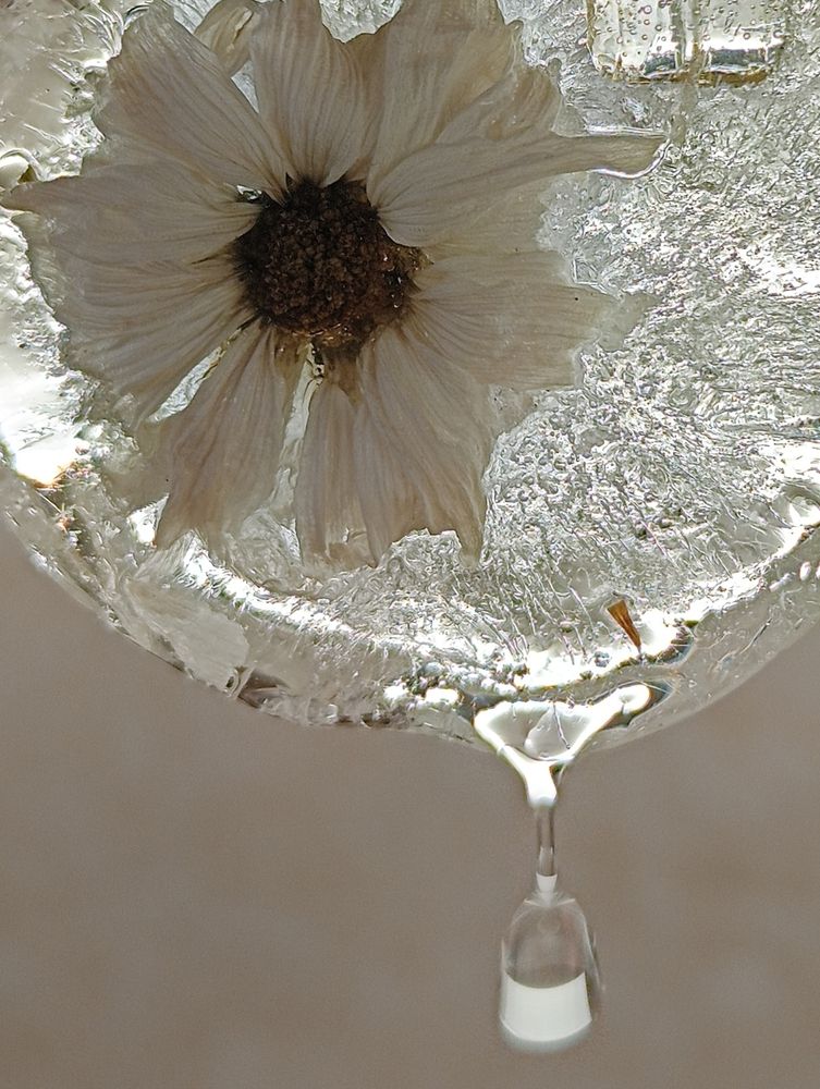 Photograph by Ольга Кириллова