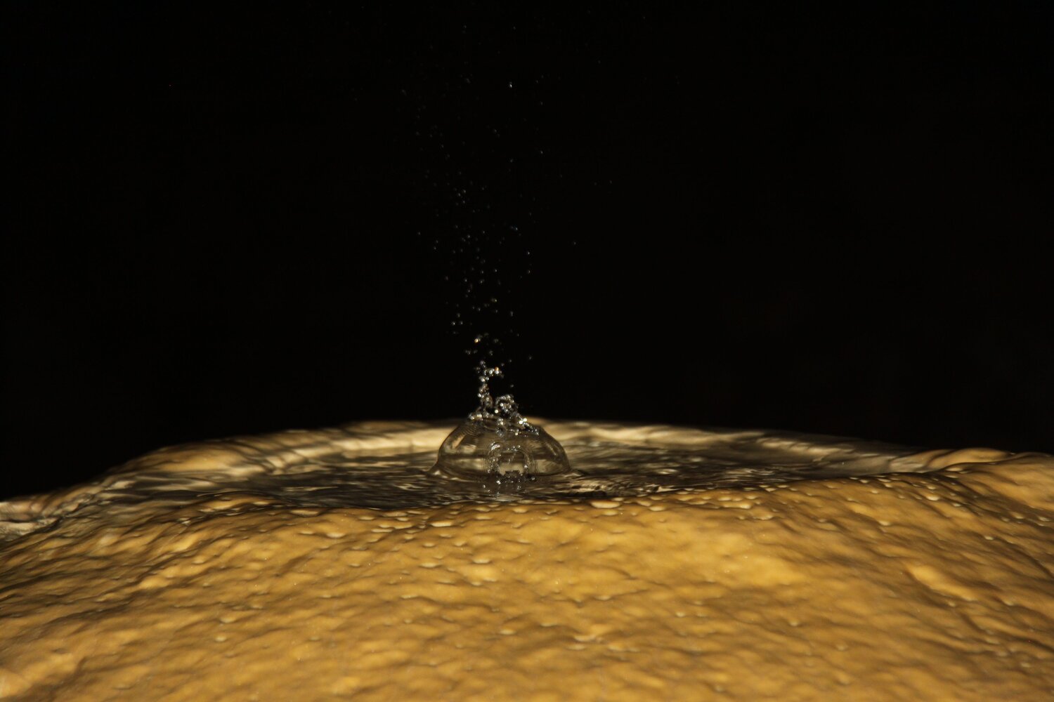 Photo #12580833