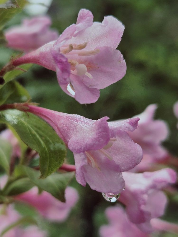 Photograph by Мария Коломиец