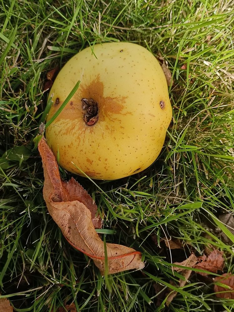 Photograph by Елена Пархоменко