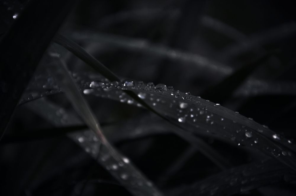 Photograph by Зыкова Мария