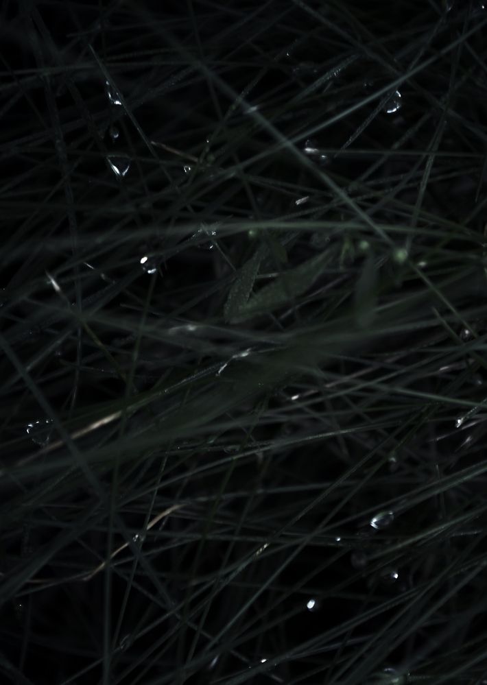 Photograph by Зыкова Мария