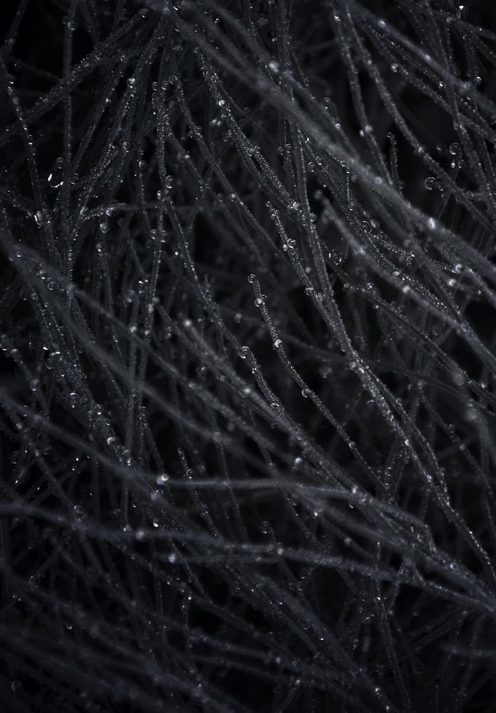 Photograph by Зыкова Мария