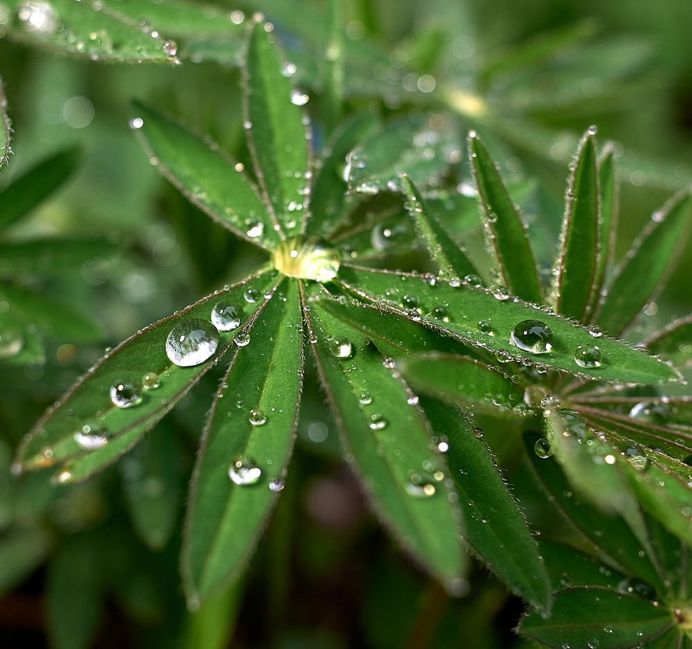 Photograph by Андрей Некрашевич