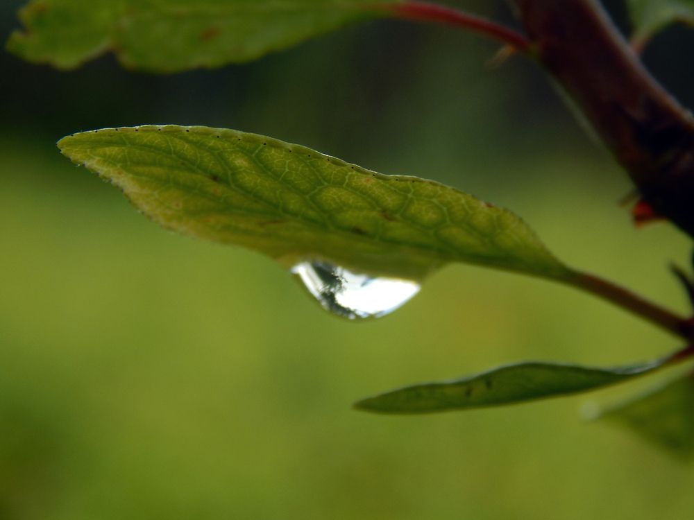 Photograph by Кирилл Елесин